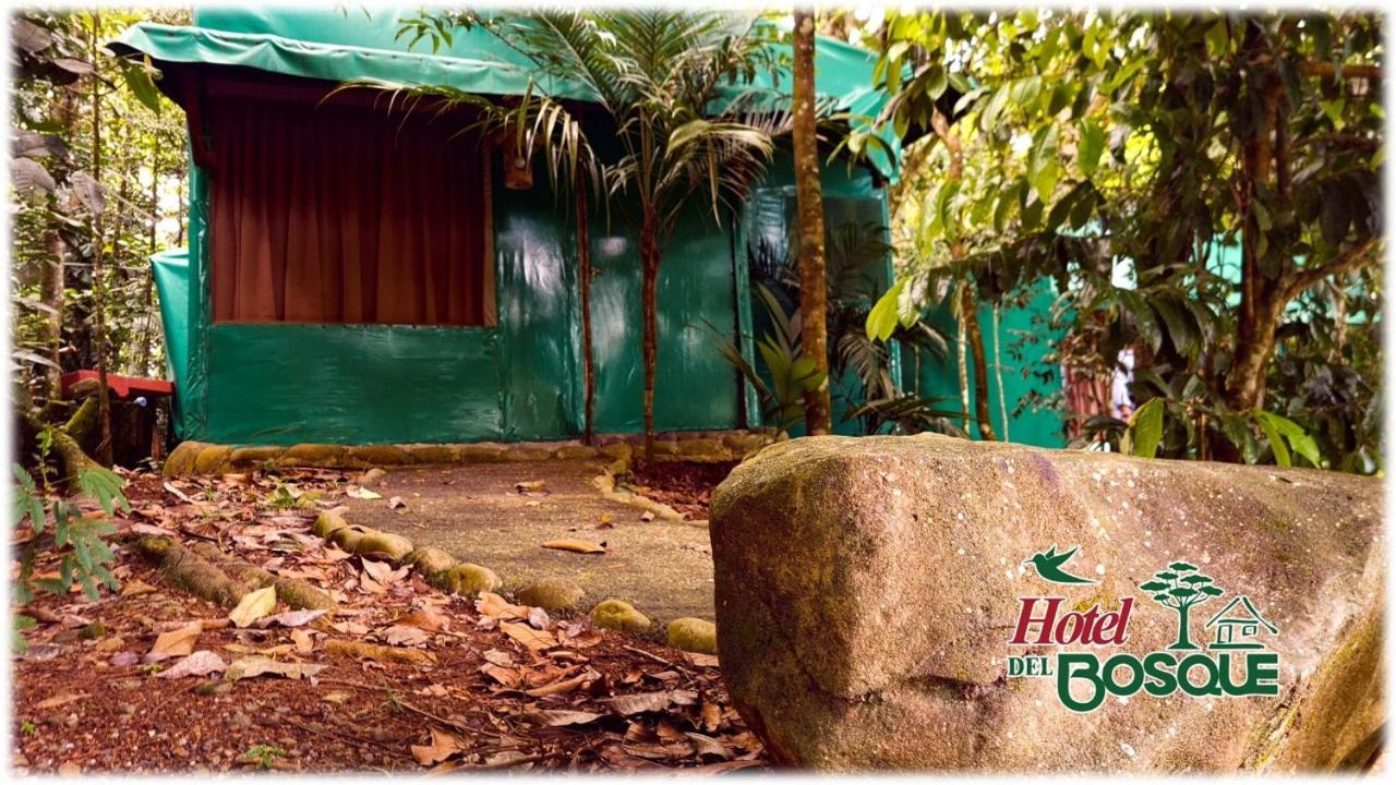 Hotel del Bosque Río Cuarto Exterior foto